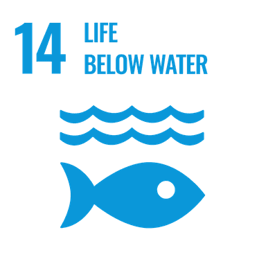 sustainable developement goal