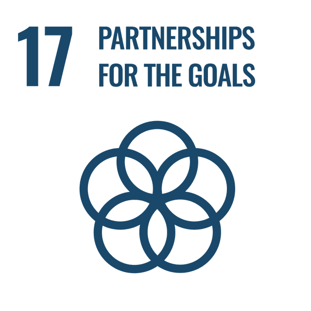 SDG Goal 17
