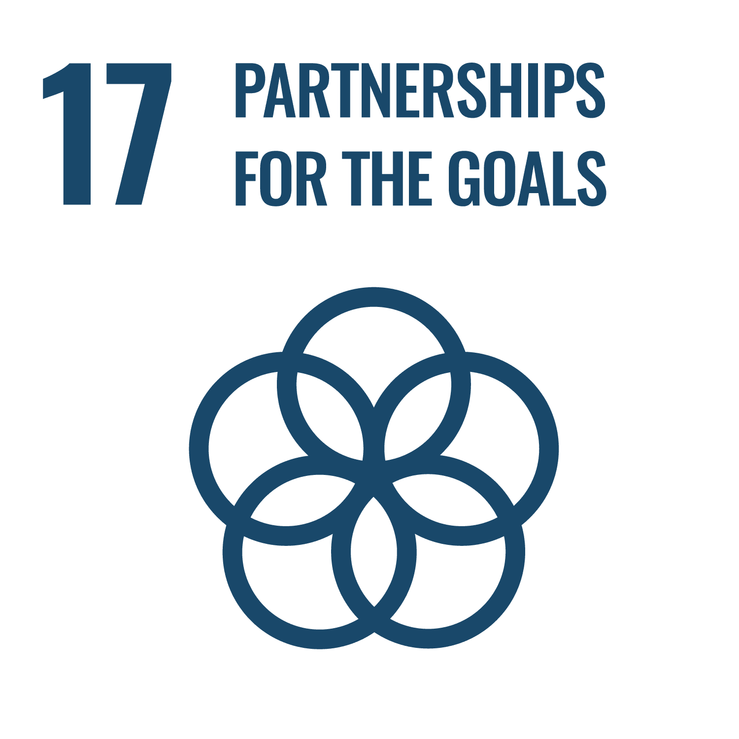 Sustainable Development Goal 17